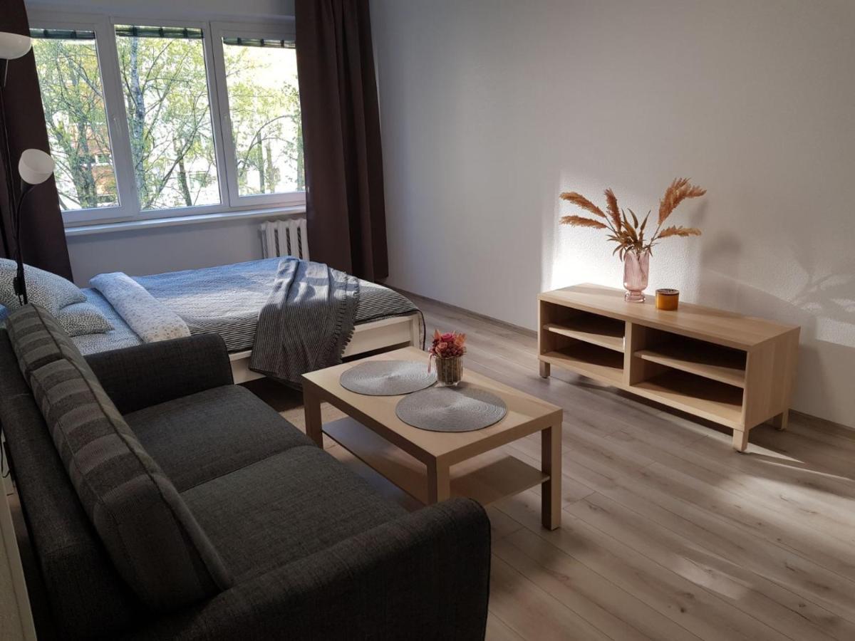 Modern Studio Naujakiemio, Self-Check-In, Free Parking 克莱佩达 外观 照片