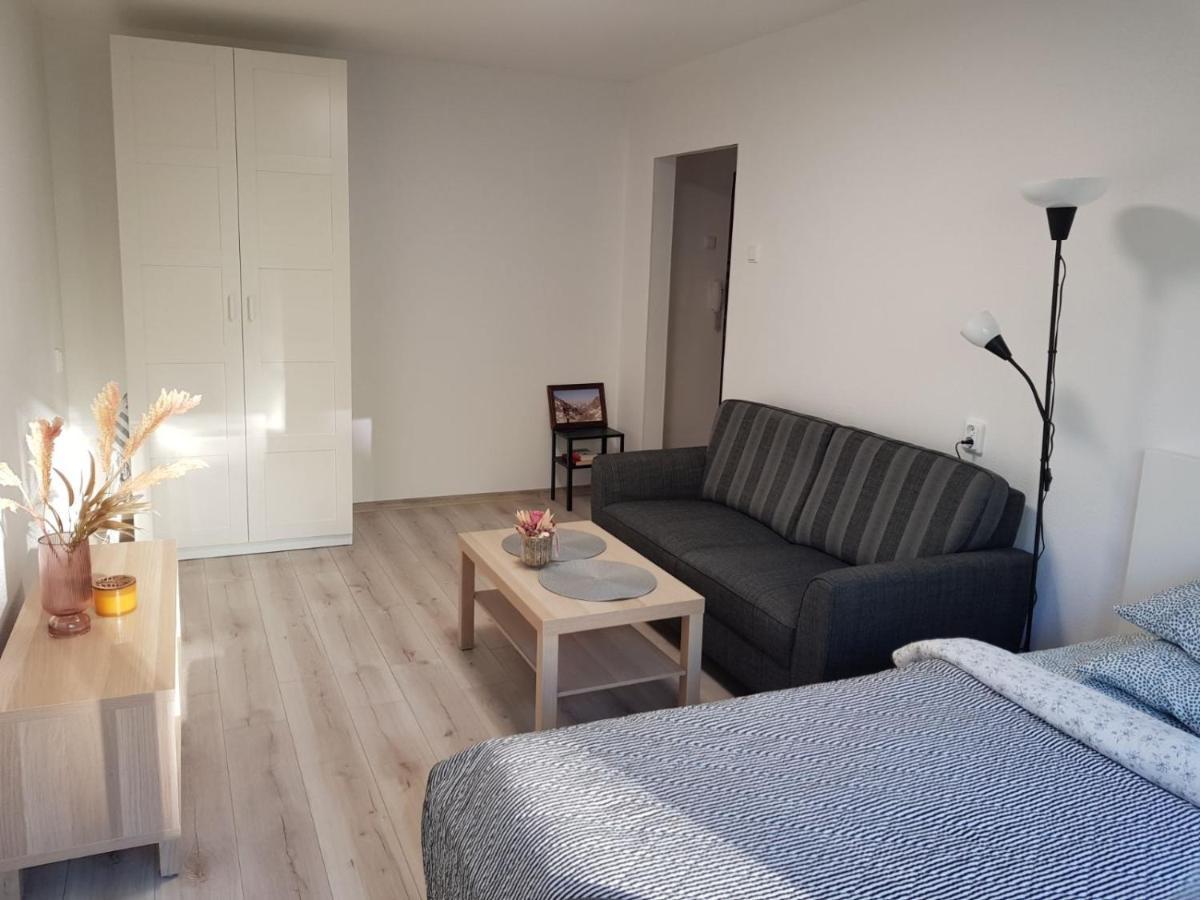 Modern Studio Naujakiemio, Self-Check-In, Free Parking 克莱佩达 外观 照片